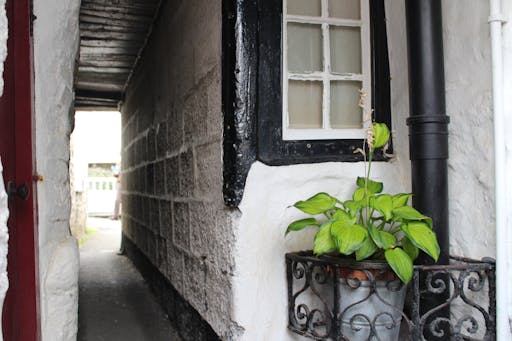 Doc Martin tour-2