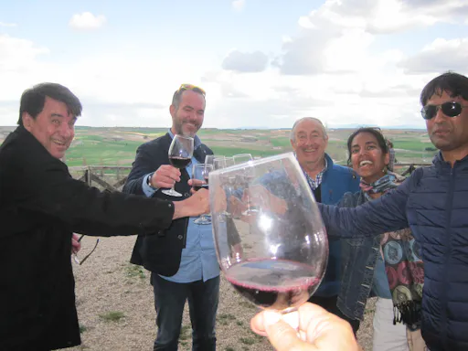 Wine experience with castles, medieval Cities or cathedrals tour from Madrid-1