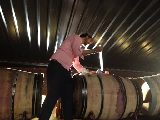 Wine experience with castles, medieval Cities or cathedrals tour from Madrid-2