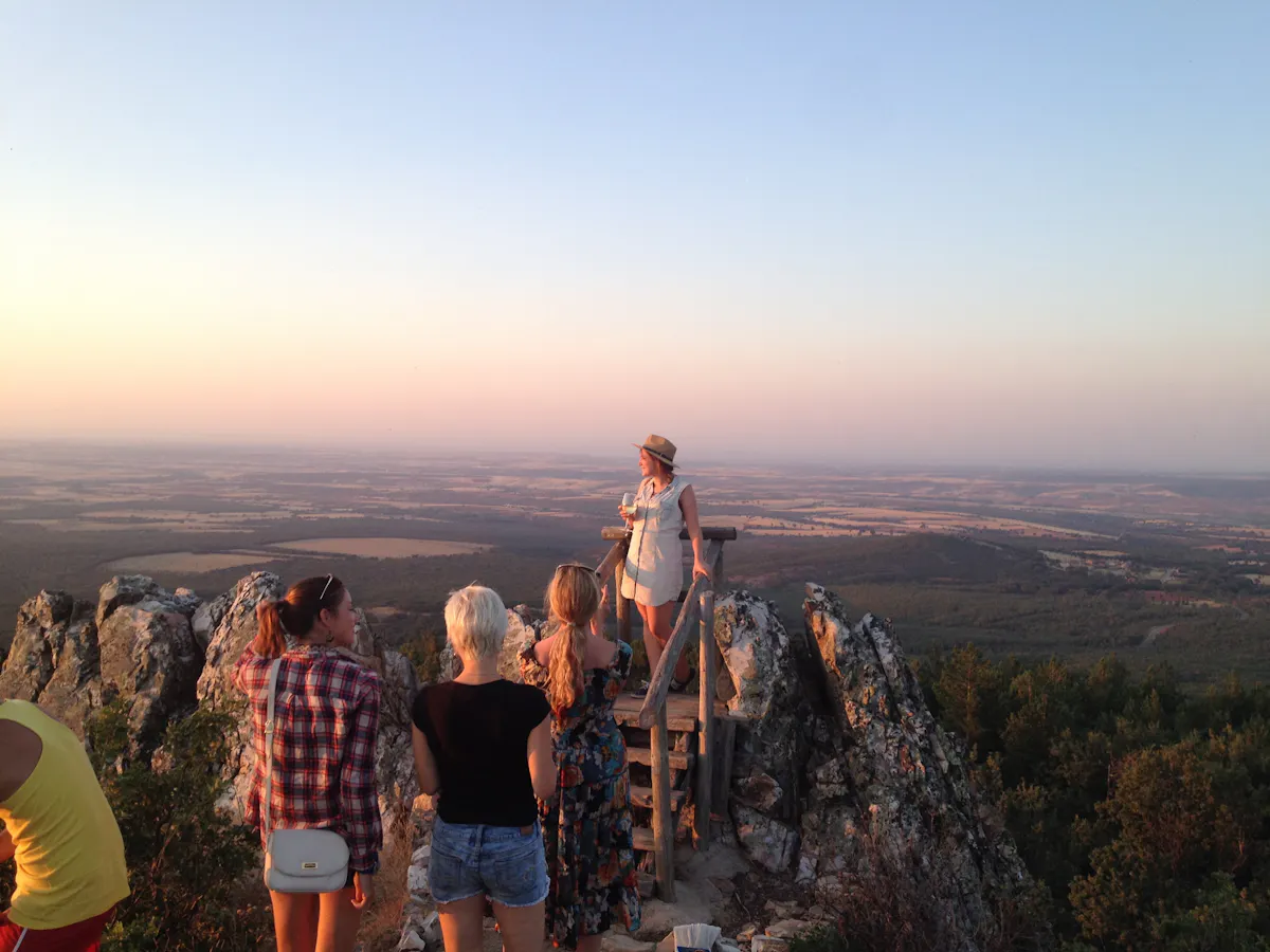 Ribera del Duero wine tour and tasting from Madrid-1