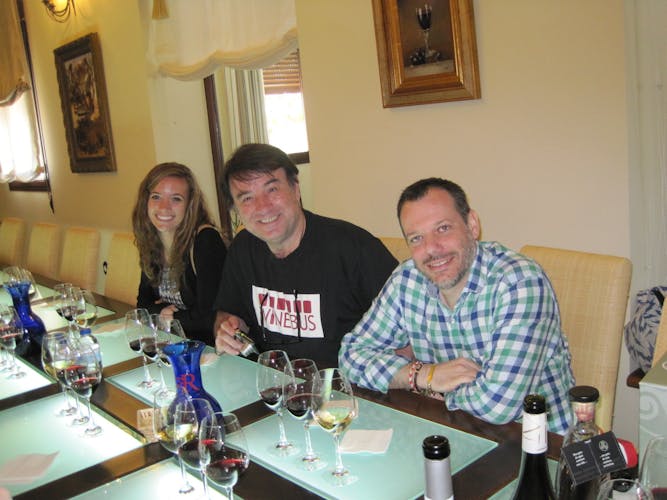 Ávila and Rueda wine tour from Madrid-1