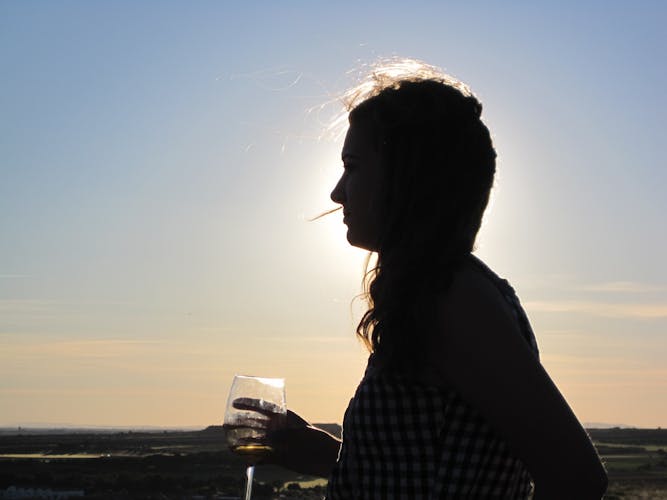 Ávila and Rueda wine tour from Madrid