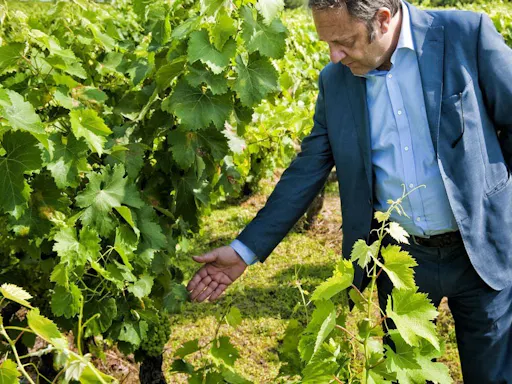 Leone de Castris 1 - Grand Wine Tour.jpg