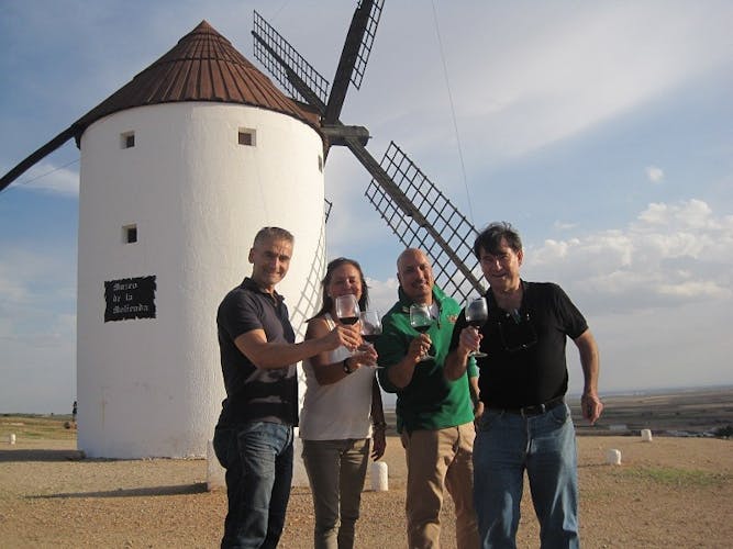 Windmills of Don Quixote wine tour from Madrid