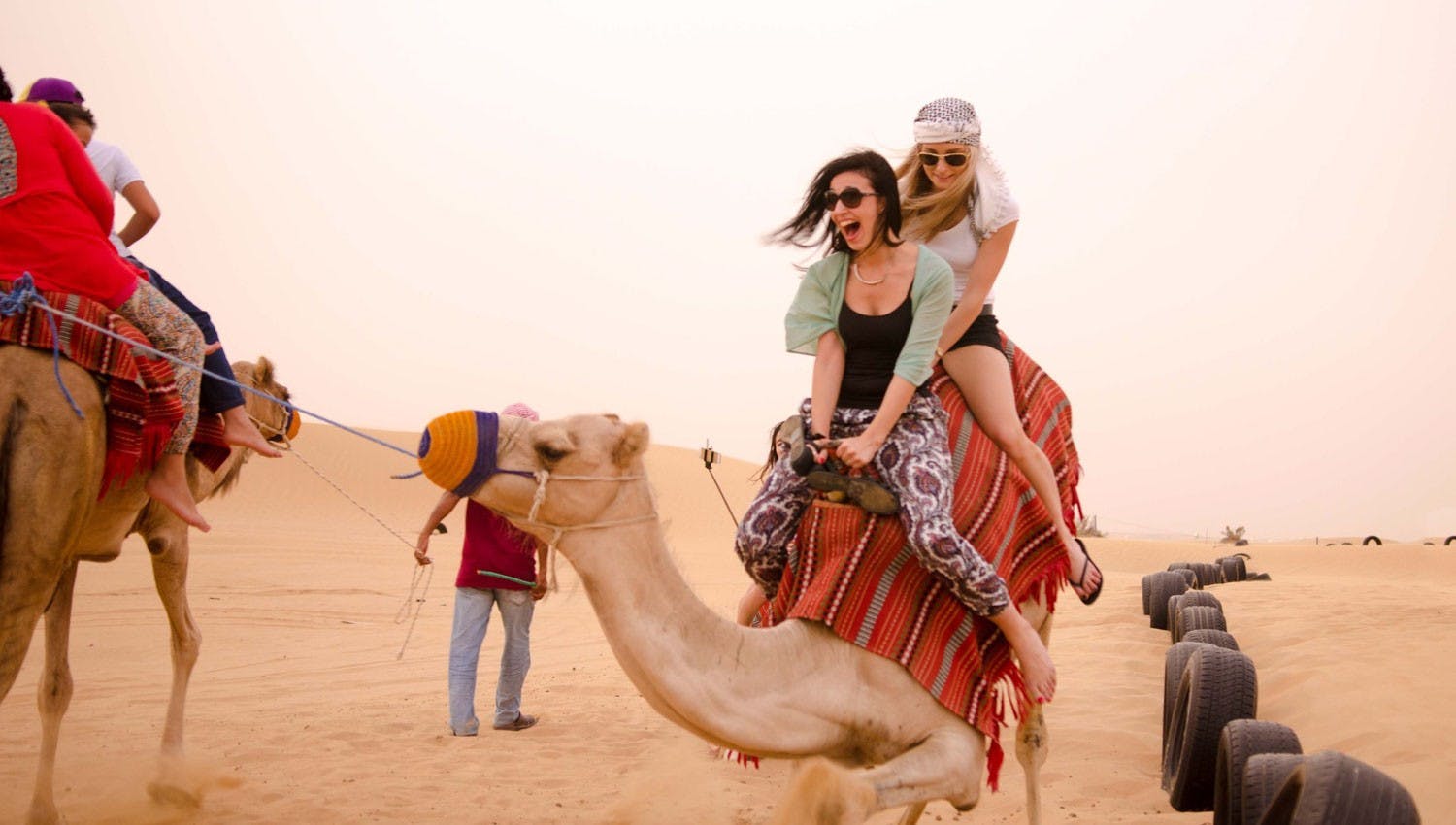 dubai desert camel