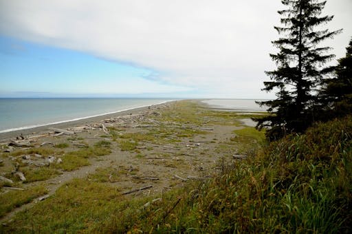 Olympic National Park 3.jpg