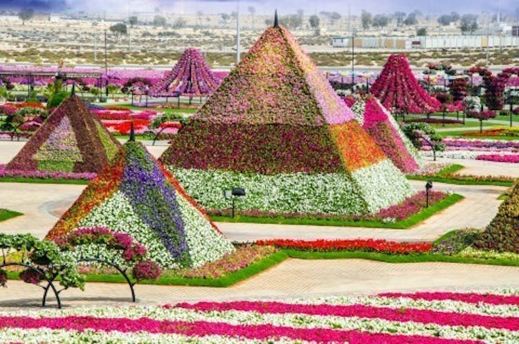 Dubai Miracle Garden and Global Village shopping tour
