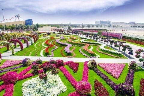 Dubai magic garden photo.jpeg