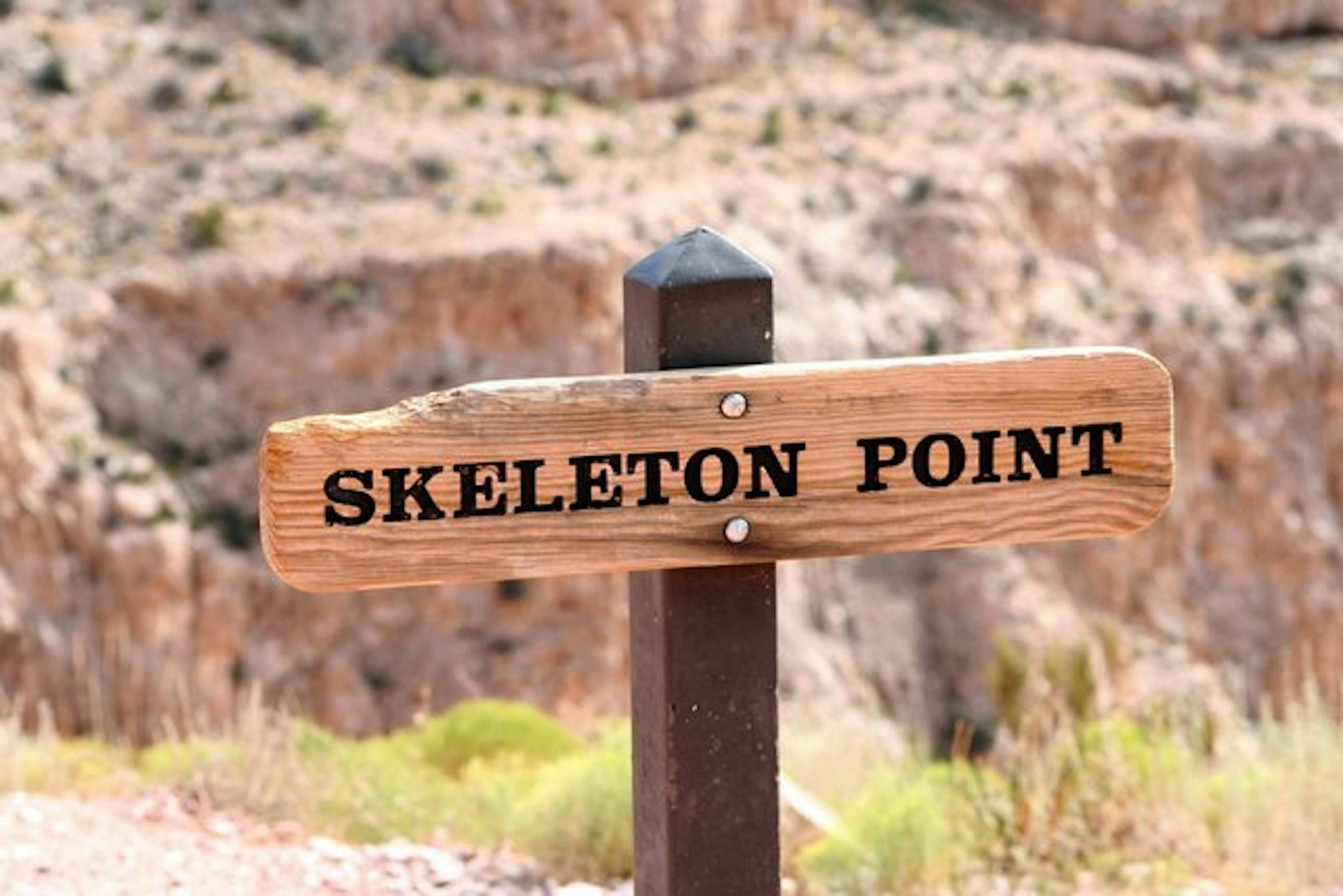 Hike to skeleton point.jpg