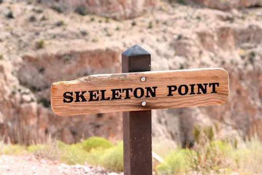 Hike to skeleton point.jpg