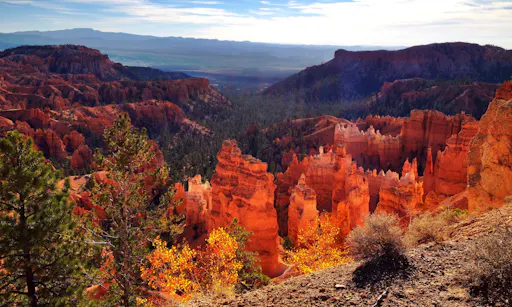 Bryce Canyon  Bindlestiff Tours.JPG
