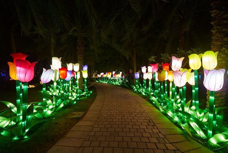 Dubai Garden Glow admission tickets and transfer