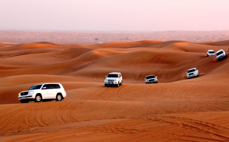 Dubai city and desert 2-day combo tour