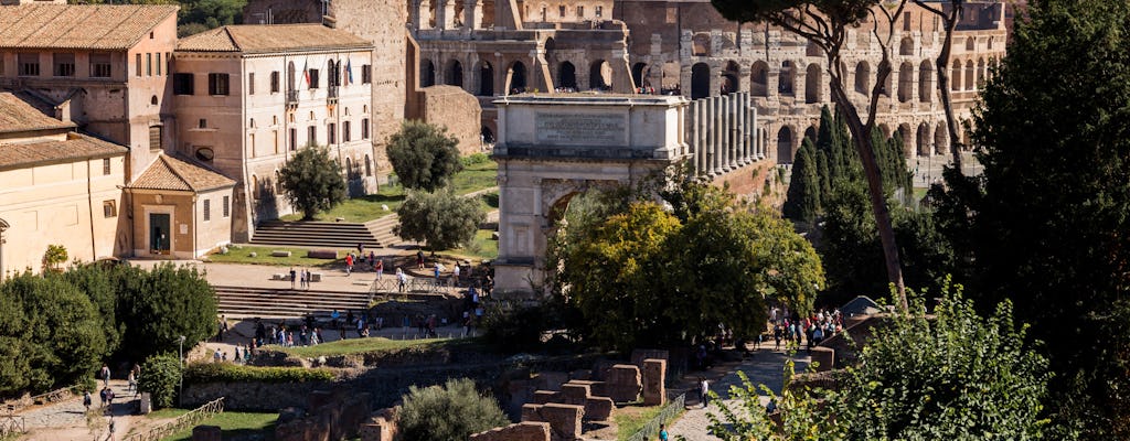 Tour salta fila del Colosseo con Foro Romano e Palatino in lingua italiana