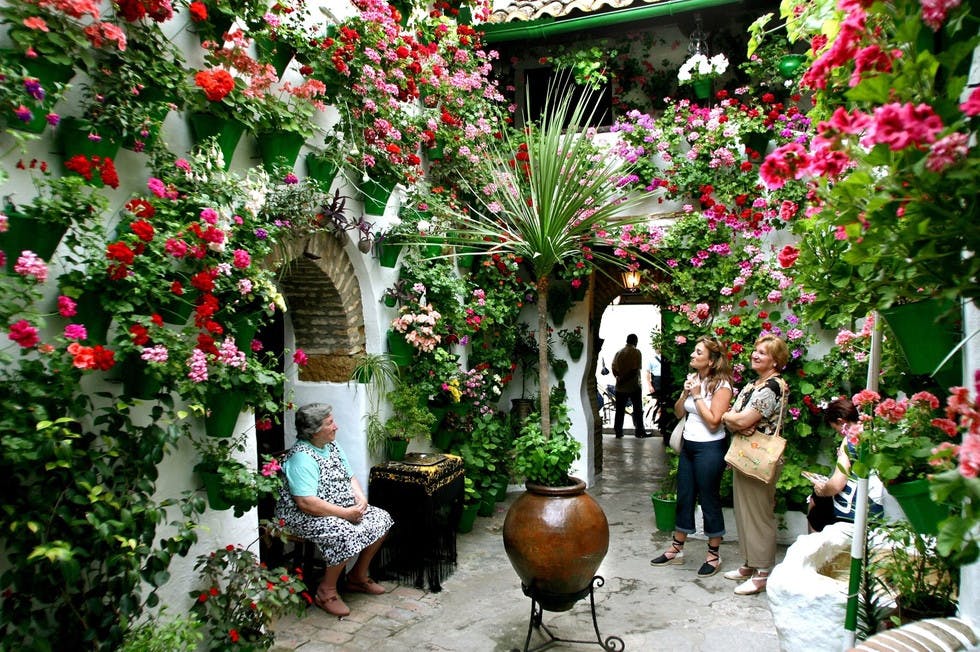 Patios of Córdoba 4.jpeg