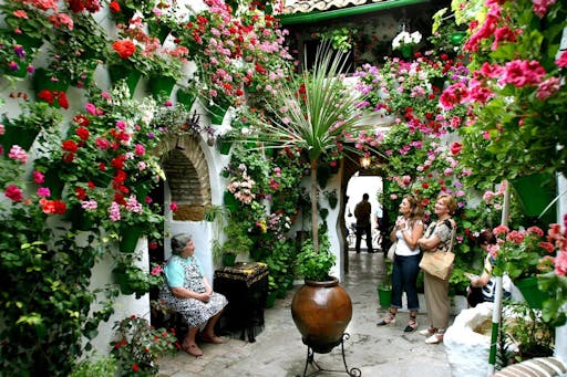Patios of Córdoba 4.jpeg