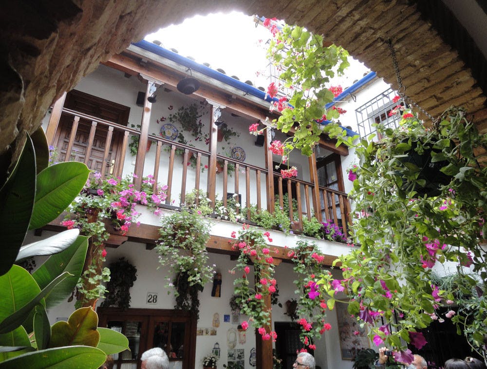 Patios of Córdoba 5.jpeg