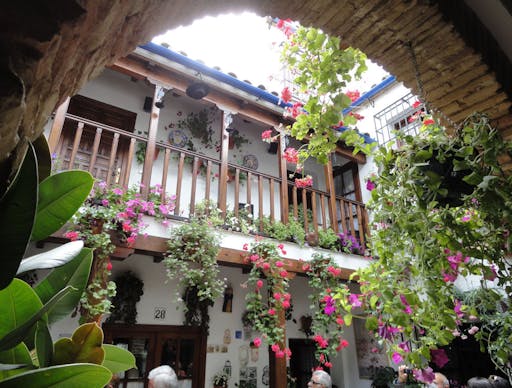 Patios of Córdoba 5.jpeg