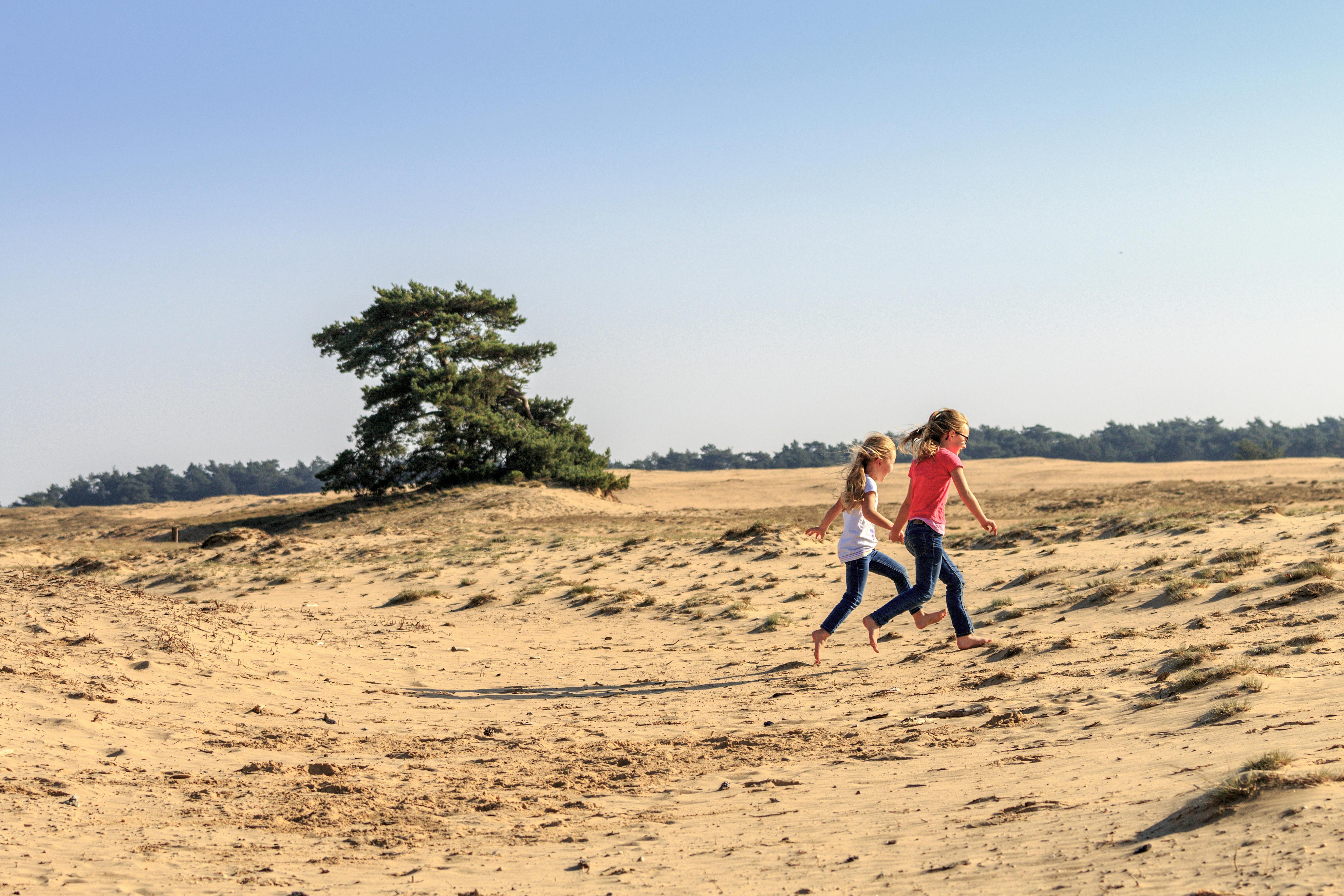 Hoge Veluwe children in the national park.jpg
