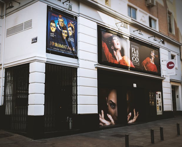 Flamenco Theatre Madrid 10.jpg