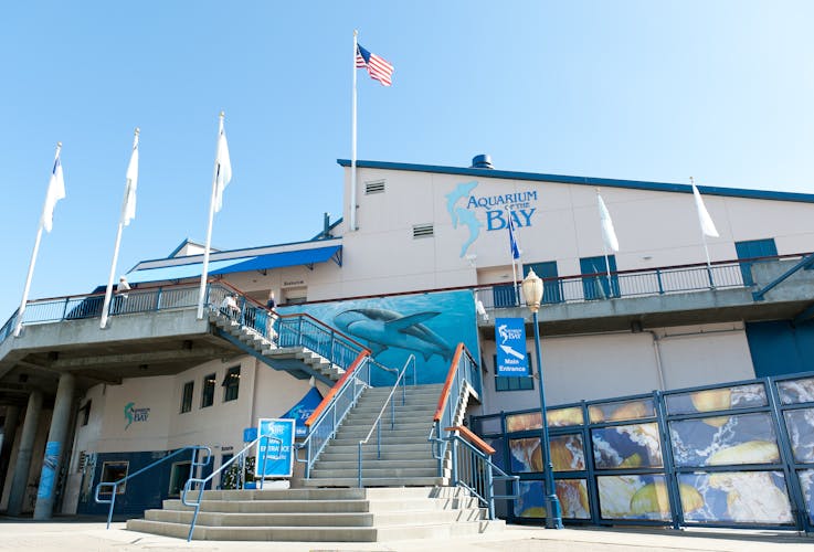 San Francisco Aquarium Of The Bay Tickets Ticket - 1