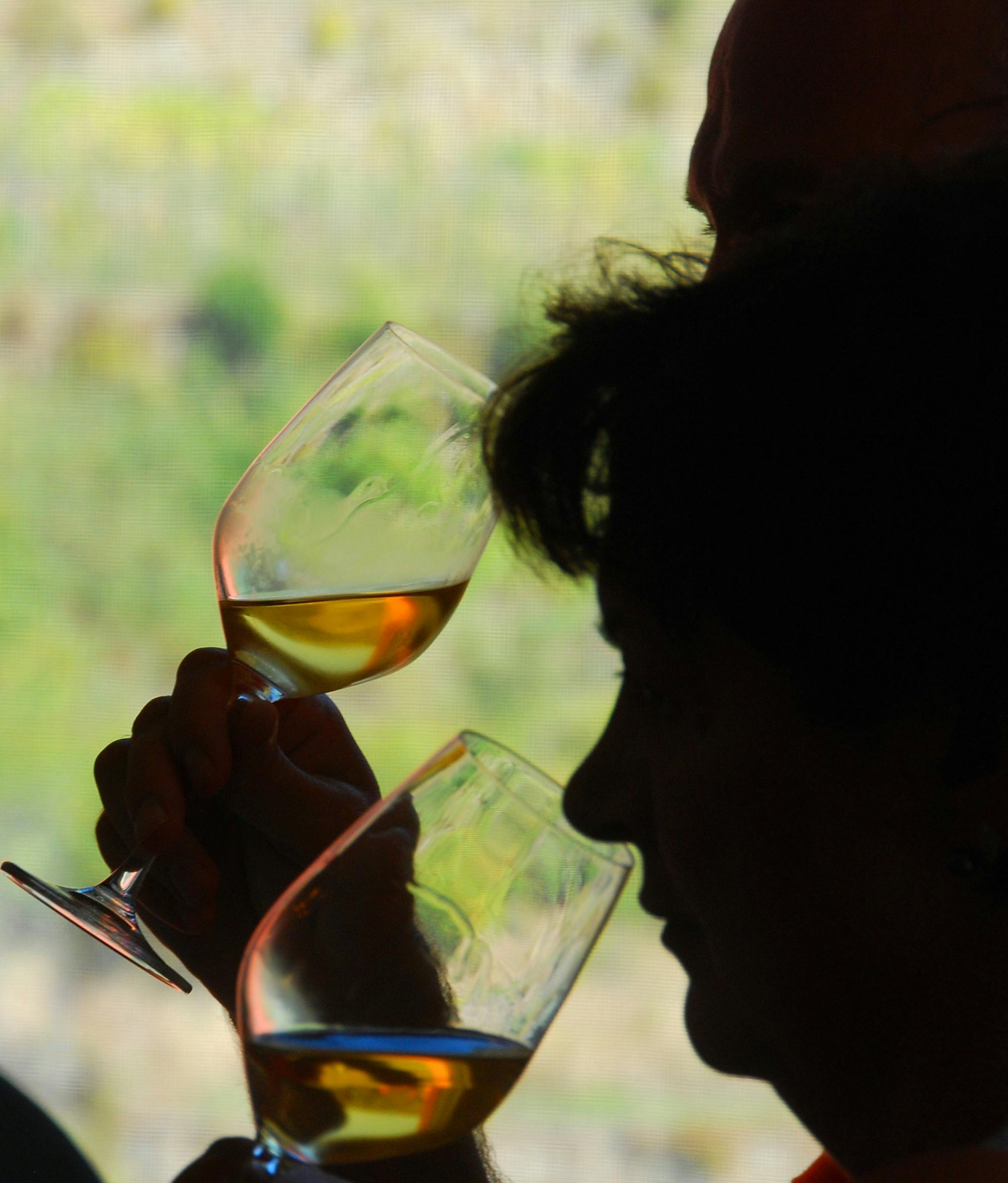 Wine tasting in Monterosso2.jpeg