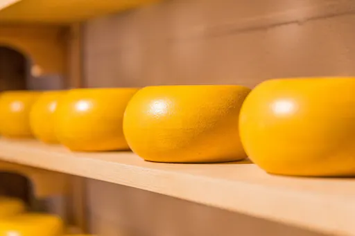 Dutch cheese Gouda.jpg