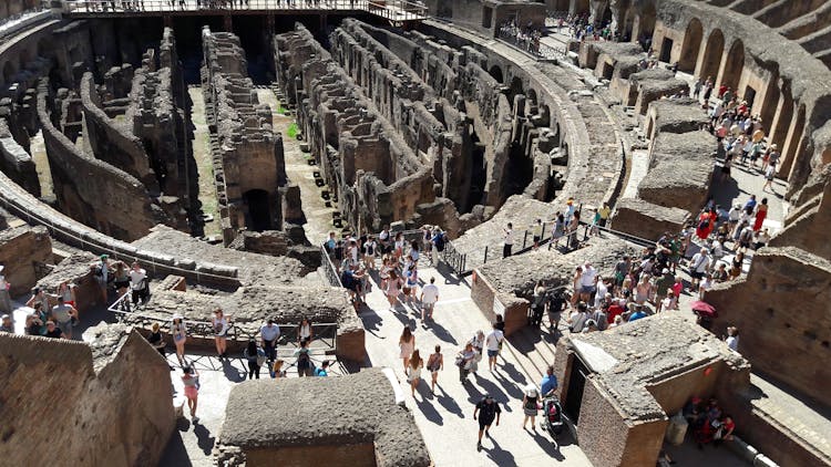 Priority access to the Colosseum, Roman Forum and Palatine Hill with optional guided tour