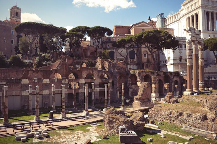 Priority access to the Colosseum, Roman Forum and Palatine Hill with optional guided tour