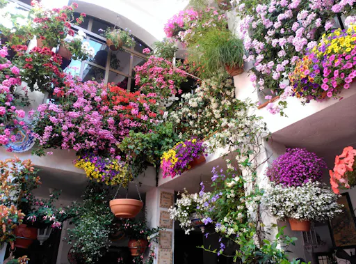 Cordoba courtyards 1.jpeg