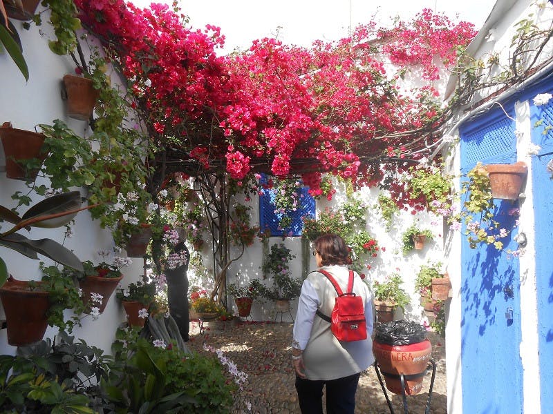 Cordoba courtyards 4.jpeg