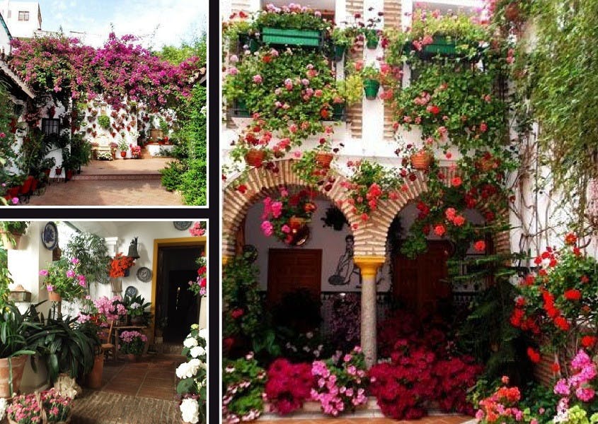 Cordoba courtyards 2.jpeg