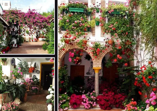 Cordoba courtyards 2.jpeg