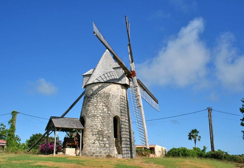 Full Day Tour Of Marie Galante Musement