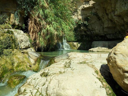 AbrahamTours_8_009.jpg