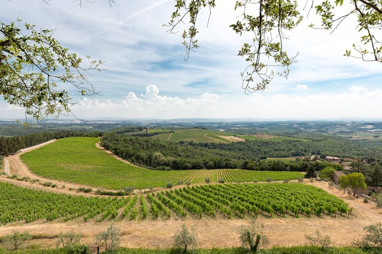 Best of Tuscany in one day from Rome