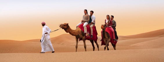Dubai desert safari camel in desert.jpg
