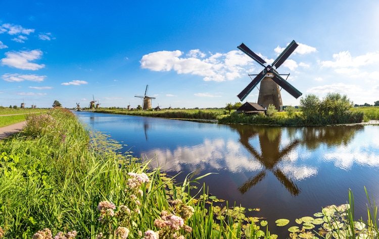 Windmills around Amsterdam musement