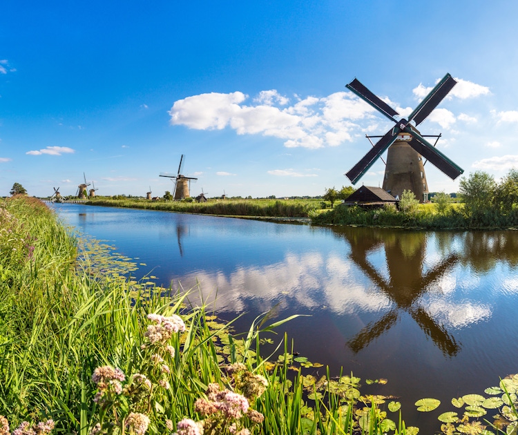 Windmills around Amsterdam  musement