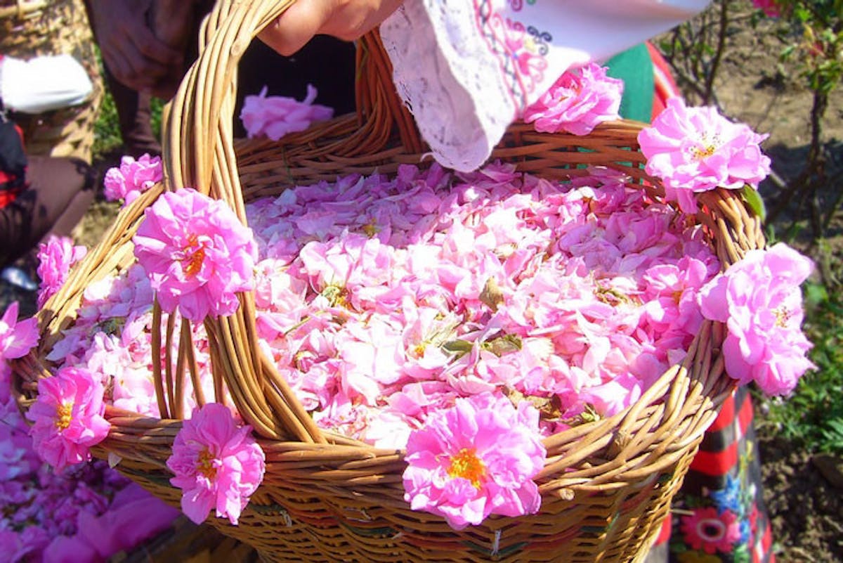 Tour of Karlovo in Bulgaria's Rose Valley1.jpg