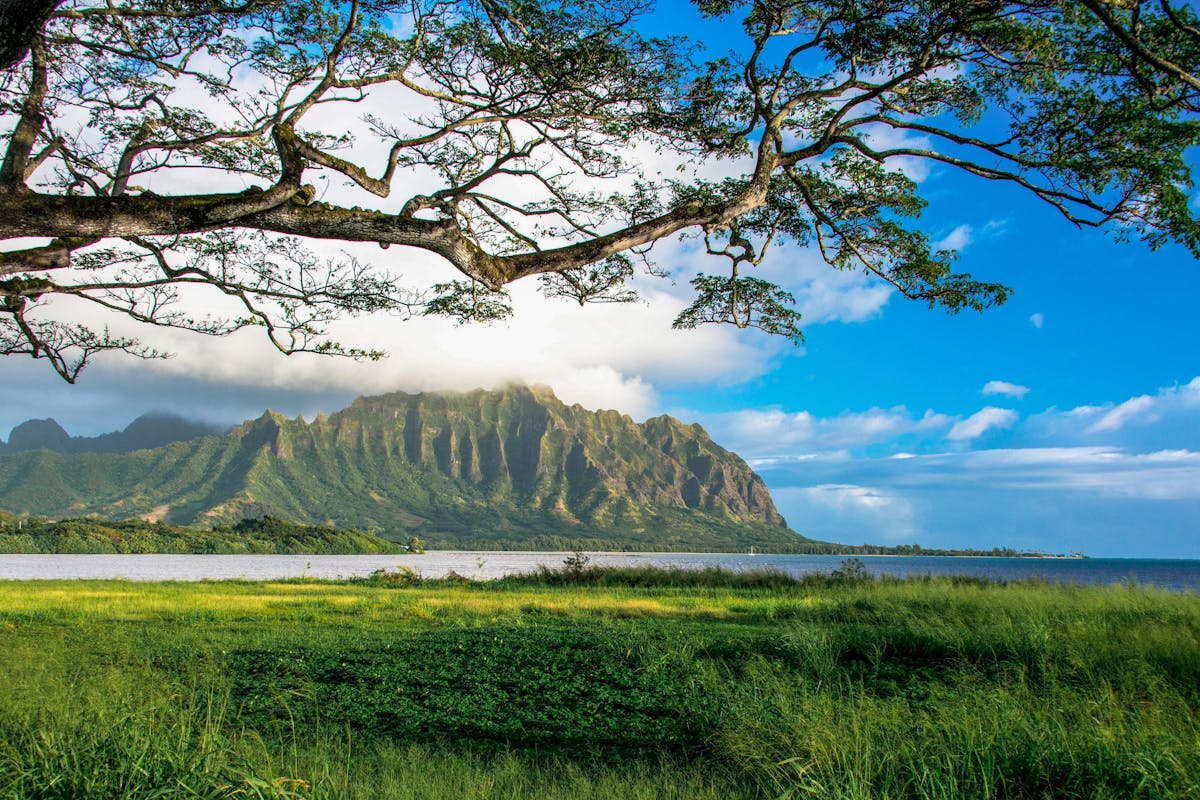hawaii1.jpg