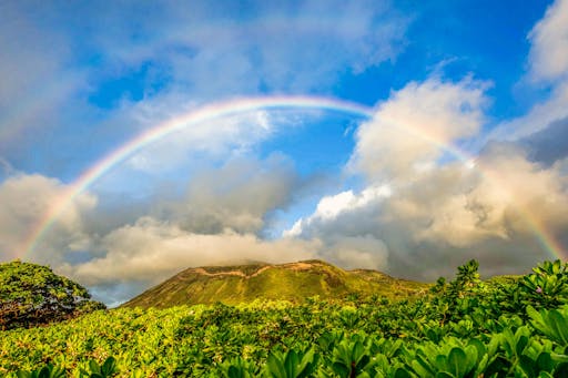 hawaii4.jpg