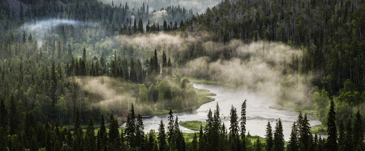 Auttikongas nature trail1.jpg