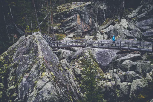 Auttikongas nature trail6.jpg