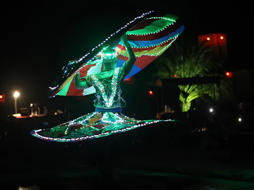 Abu Dhabi evening safari tanoura.JPG