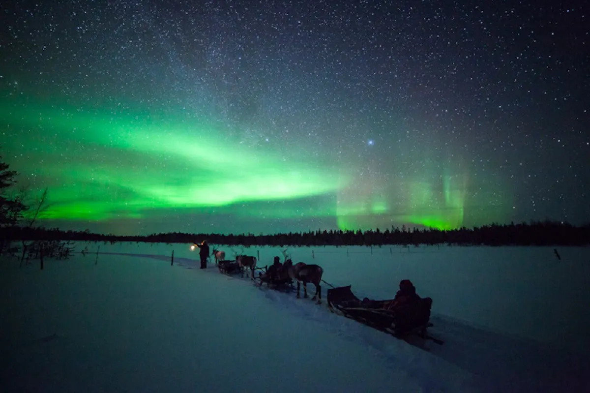 1reindeer and northern lights1