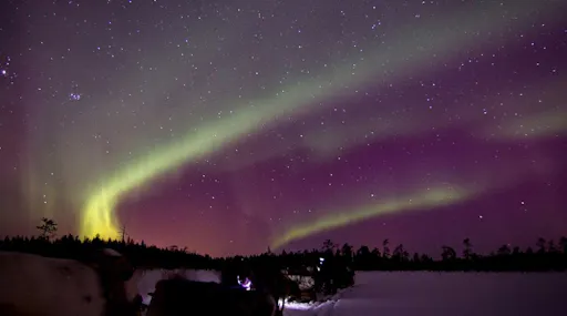 reindeer and northern lights3