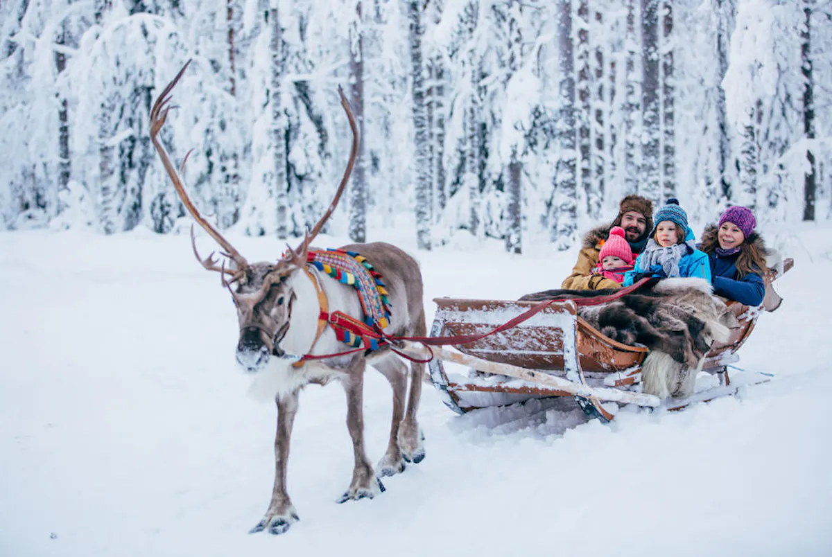 Reindeer sleigh