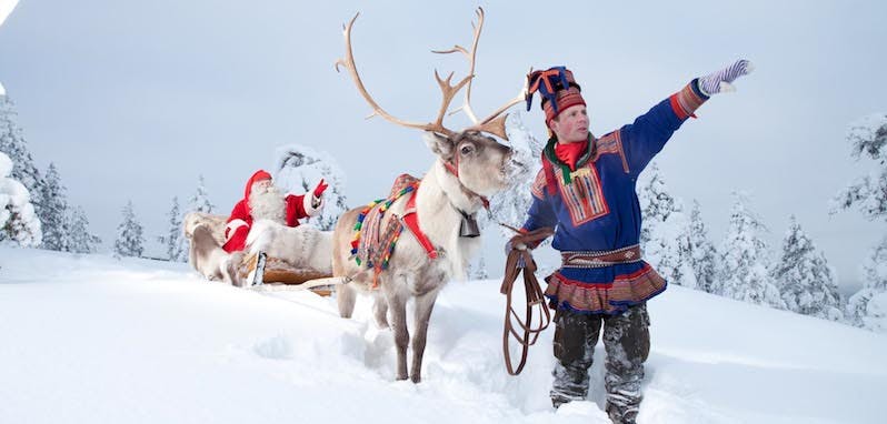 sami and reindeer