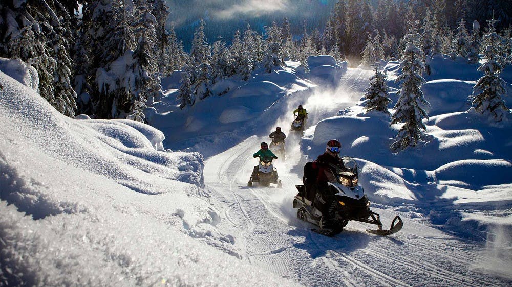 snowmobile huskies lapland (4).jpg